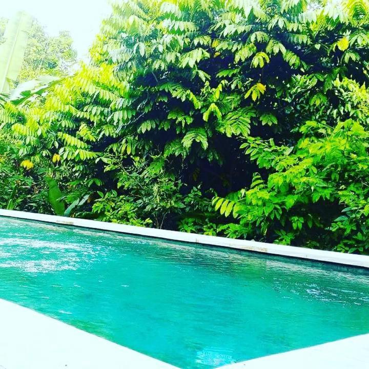 Bismajaya Bungalow Ubud Kültér fotó
