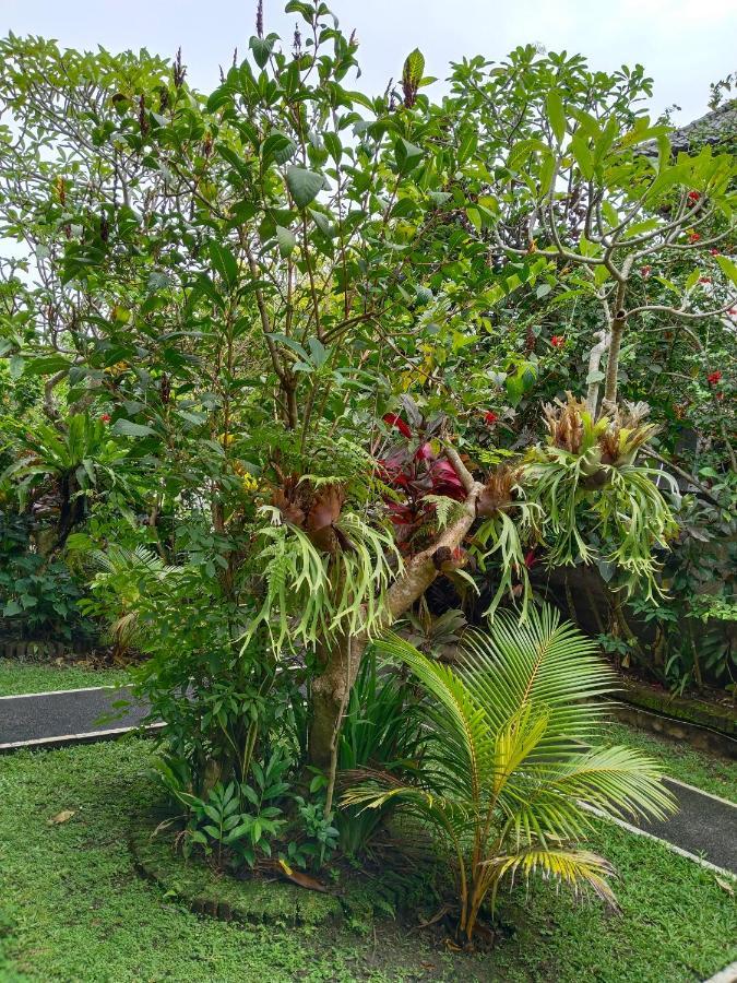 Bismajaya Bungalow Ubud Kültér fotó